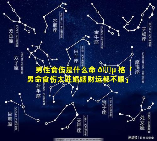 男性食伤是什么命 🐵 格「男命食伤太旺婚姻财运都不顺」